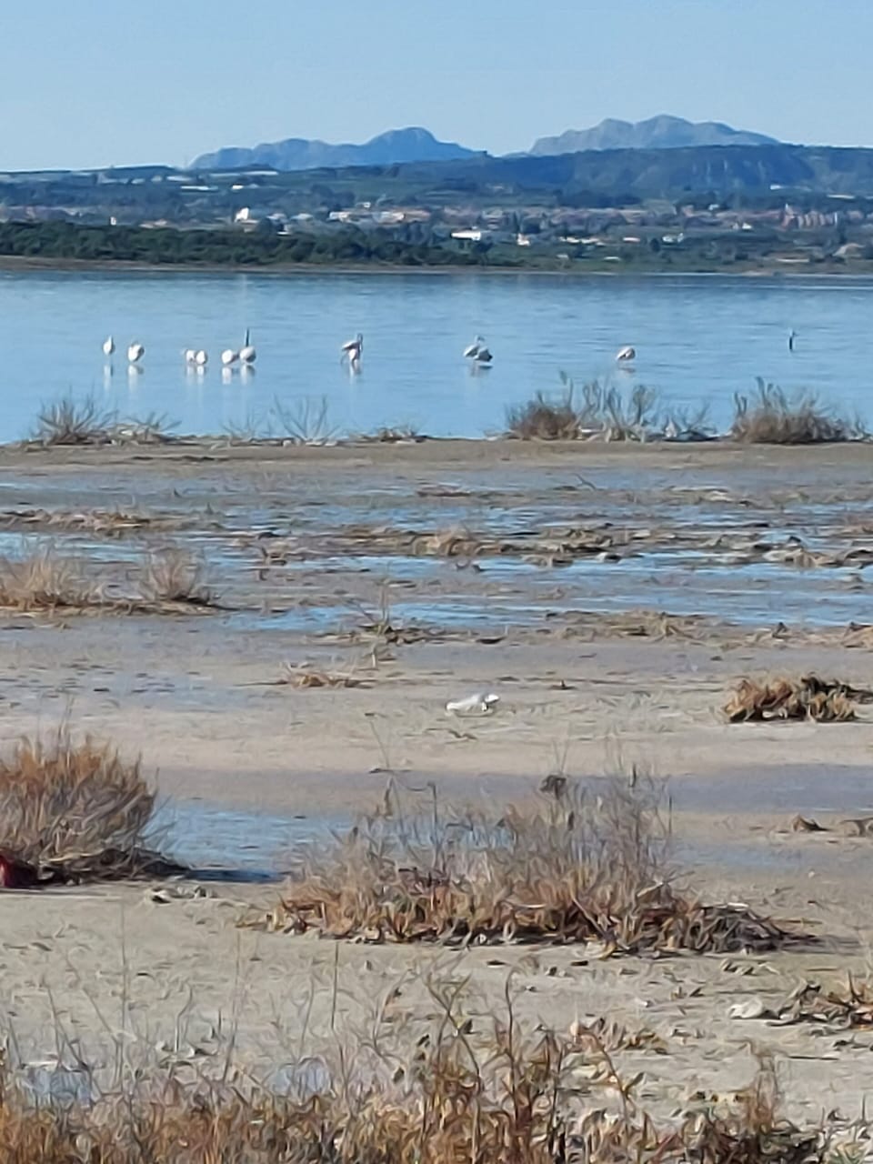 salt lakes 