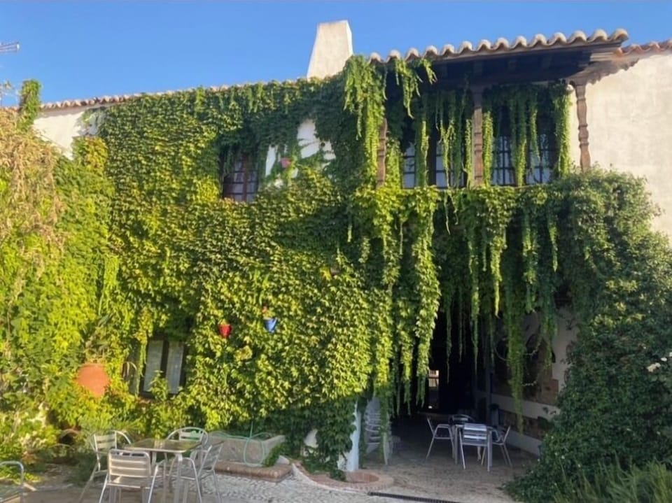 Rural house (full rental) The Five Frogs for 15 people Cottage in Castile-La Mancha