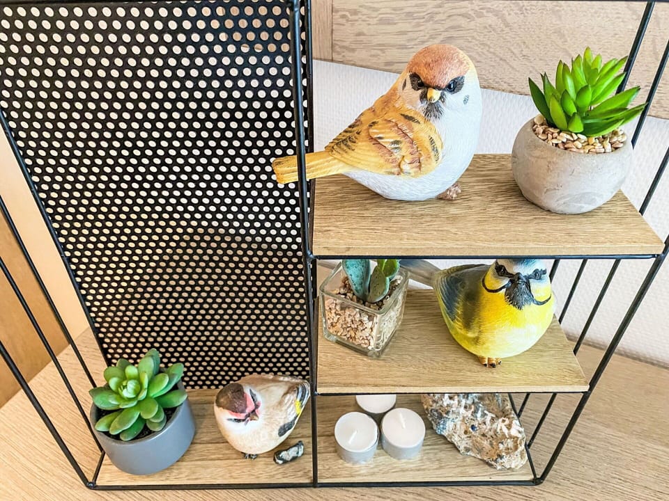 Plant, Green, Flowerpot, Houseplant, Dishware, Table, Yellow, Rectangle, Wood, Serveware