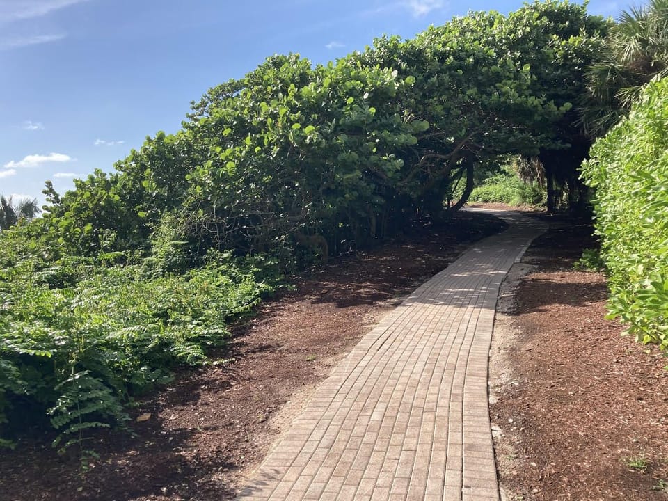 Beach walking path.