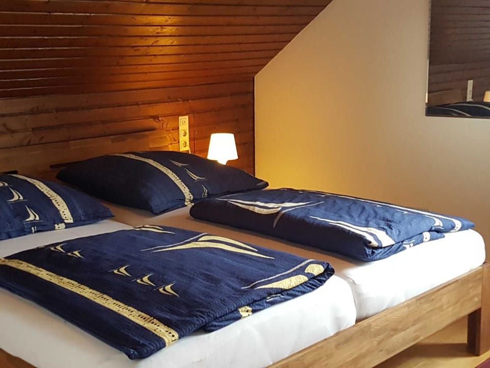 Apartment 75sqm, 2 bedrooms, max. 7 persons - Ferienwohnung Heitzler Apartment in Ortenau