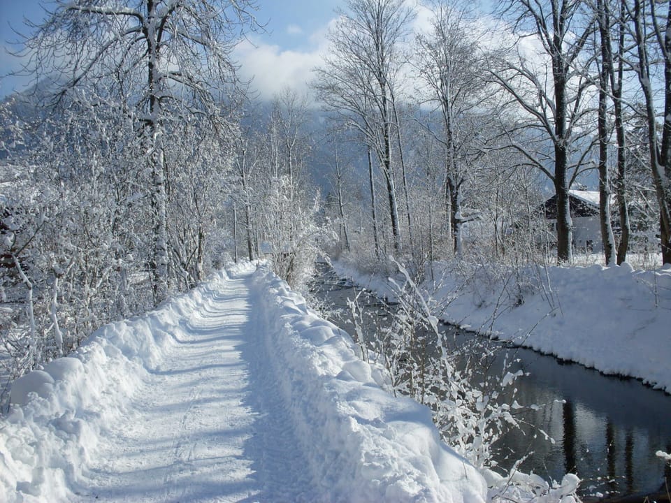 Double room - Guesthouse Schiffmann Bed and Breakfast in Tegernsee