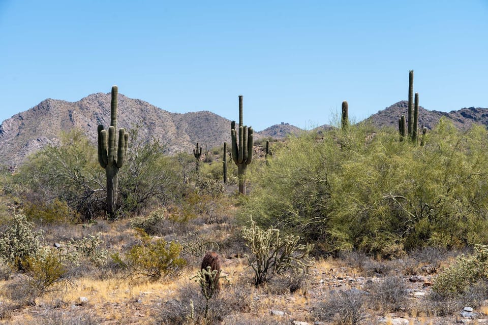 Beautiful hiking trails for miles!