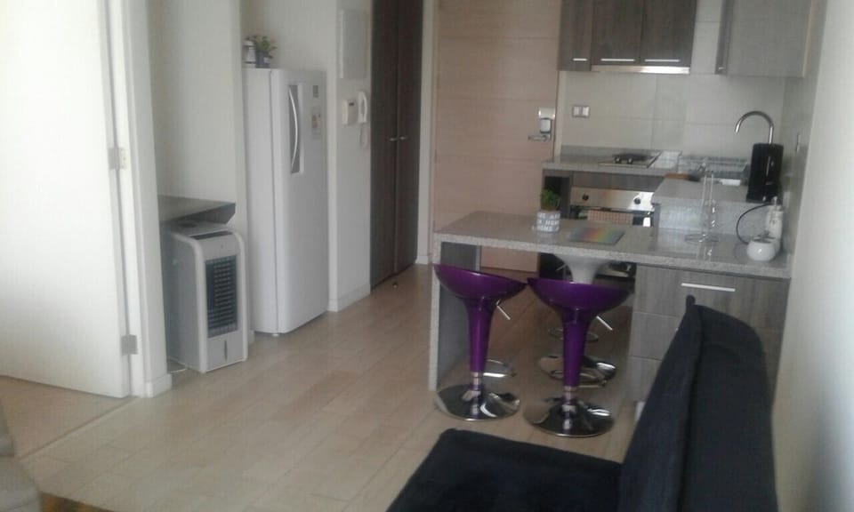 Departamento Centro Santiago