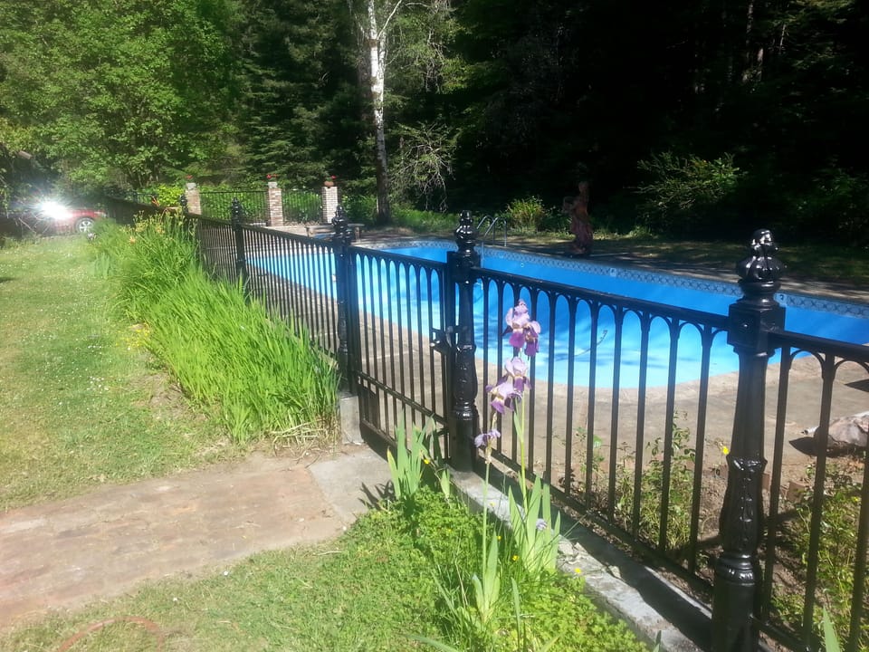 Lap pool on Kidd Creek in the scuplture garden