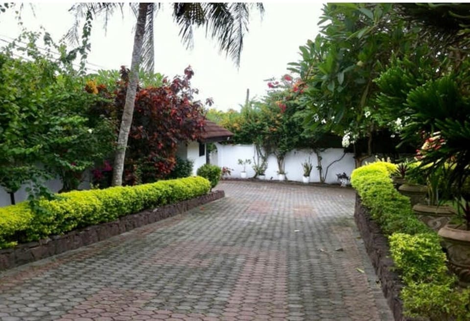 Driveway