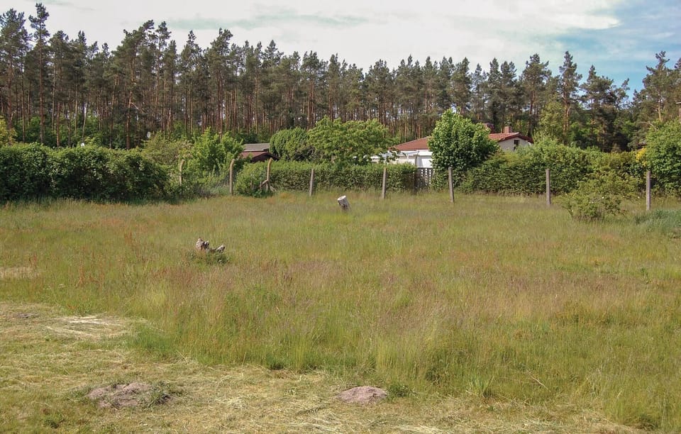 area