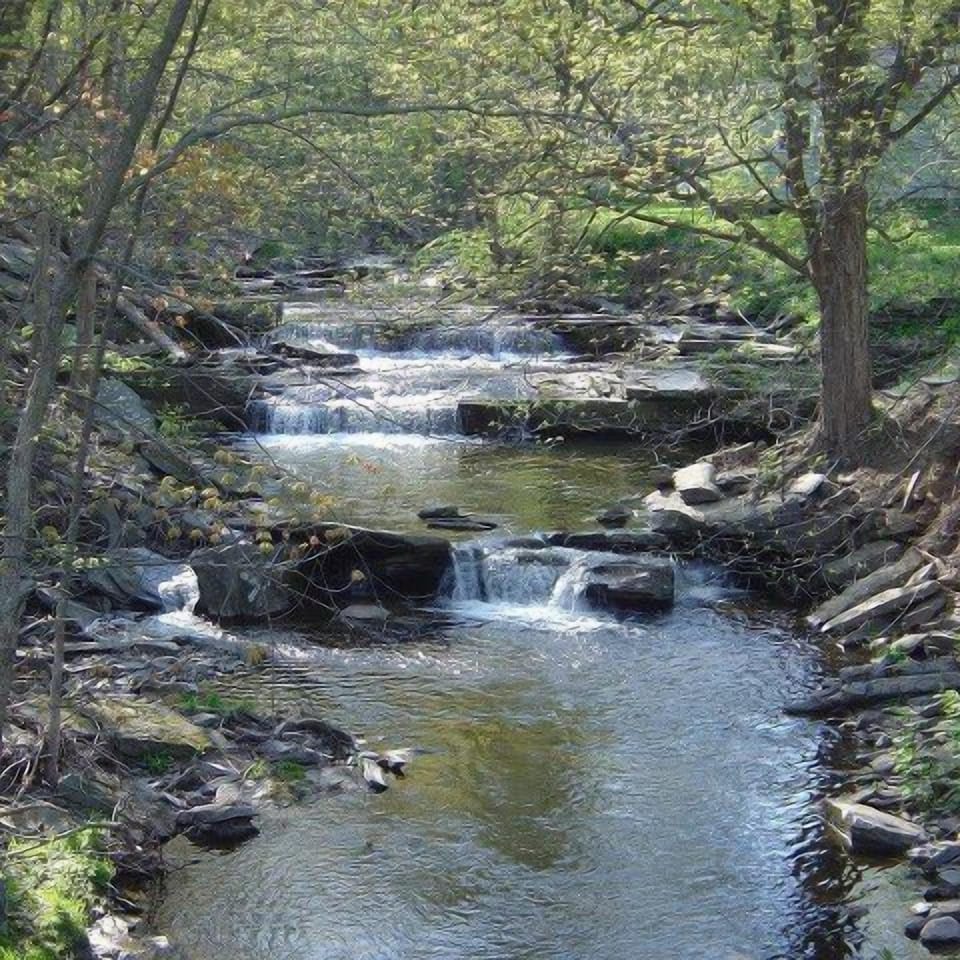 Tannery Brook 