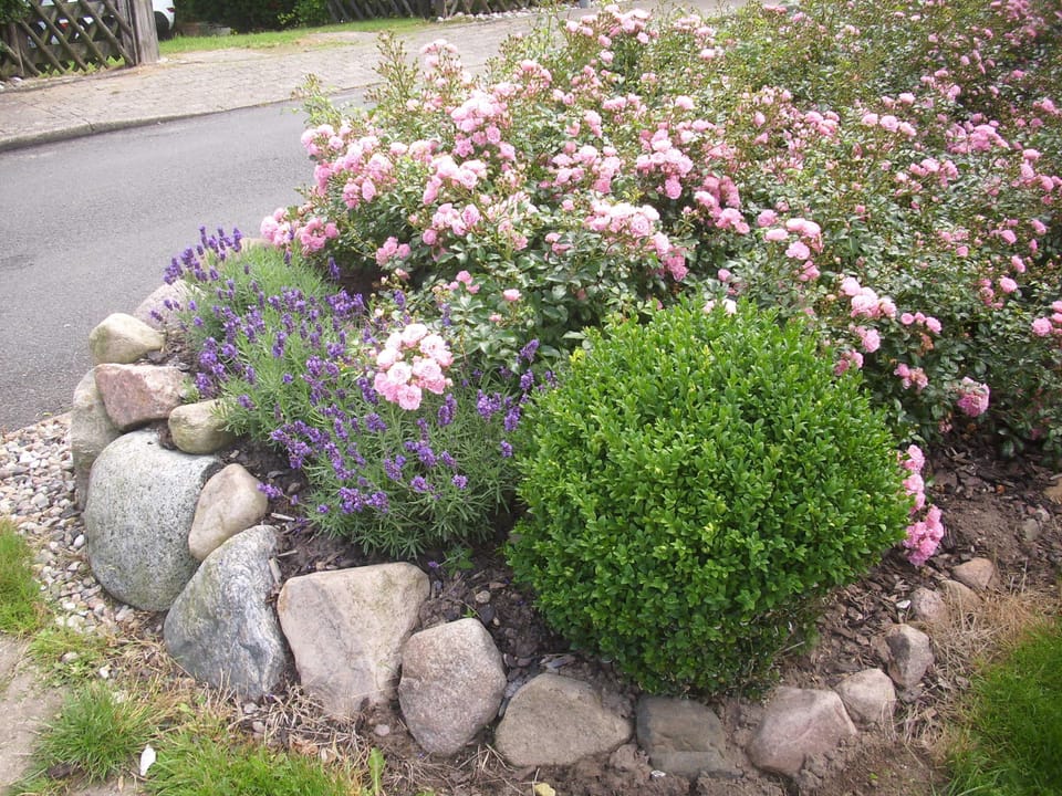 Cottage Rose scent House in Kappeln
