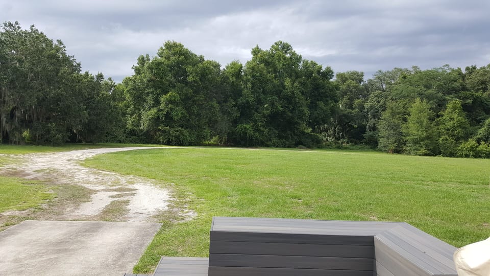 The backyard