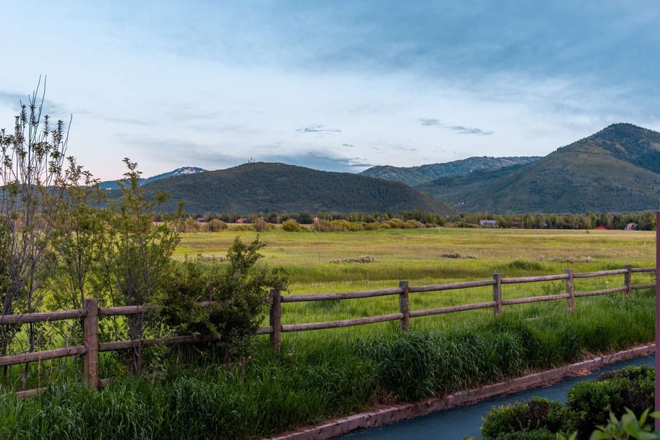 View from Deck - Swaners Nature Preserve in your Backyard!