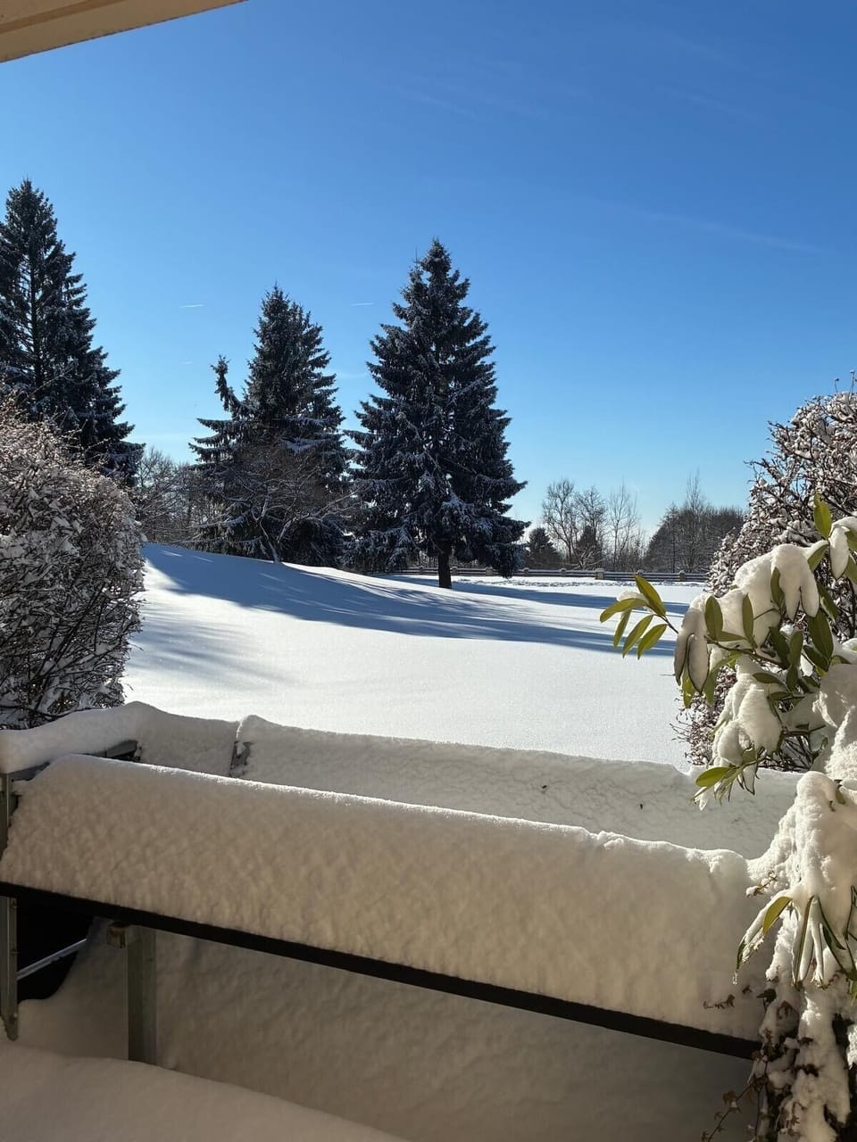 View from property