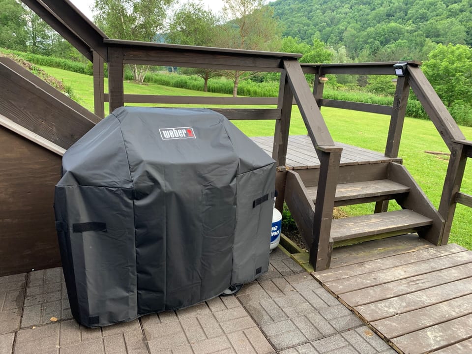 Weber Gas Grill for Cooking