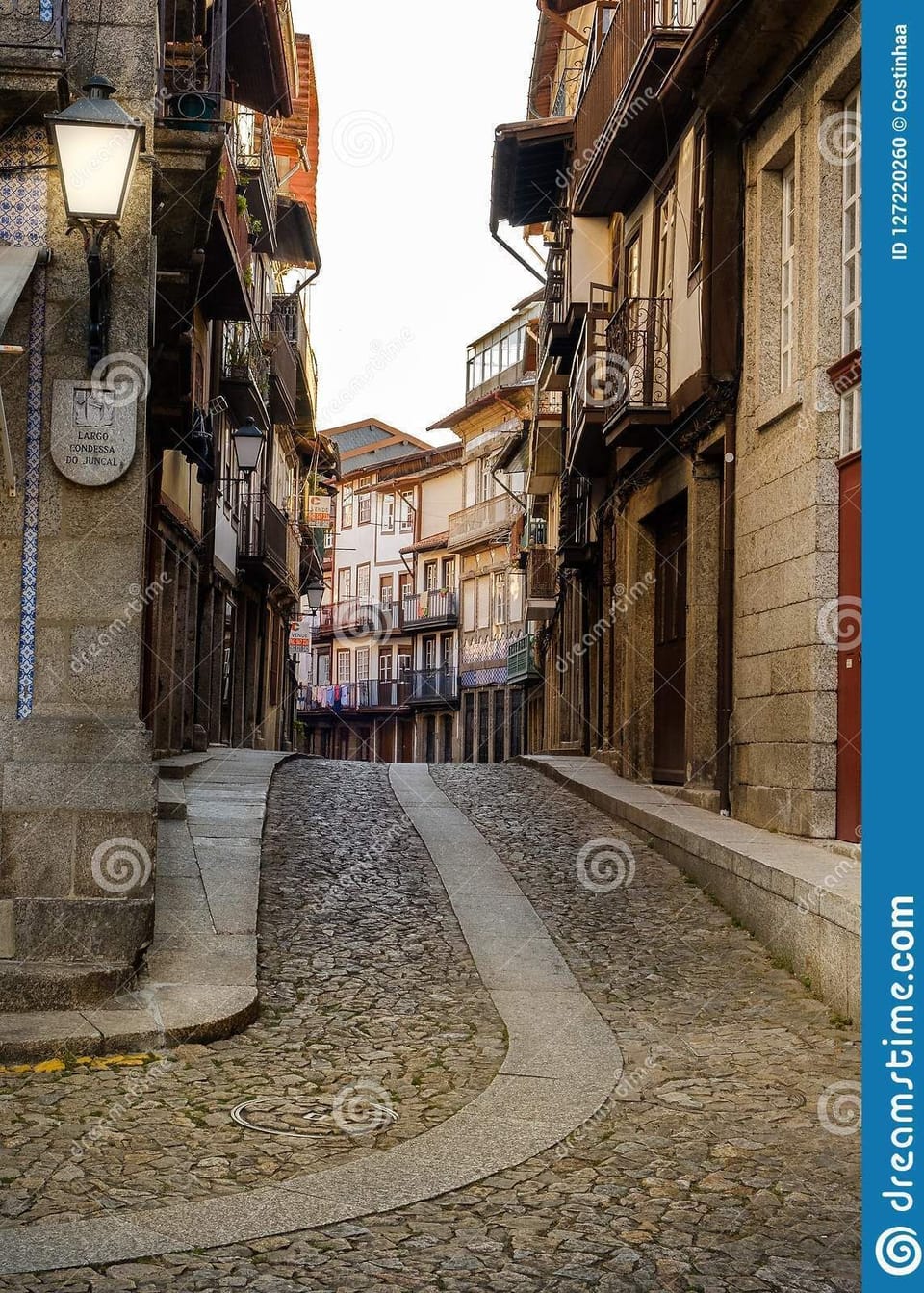 Stree Egas Moniz