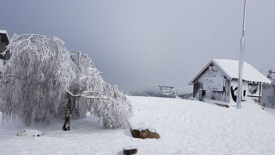 Winter magic....