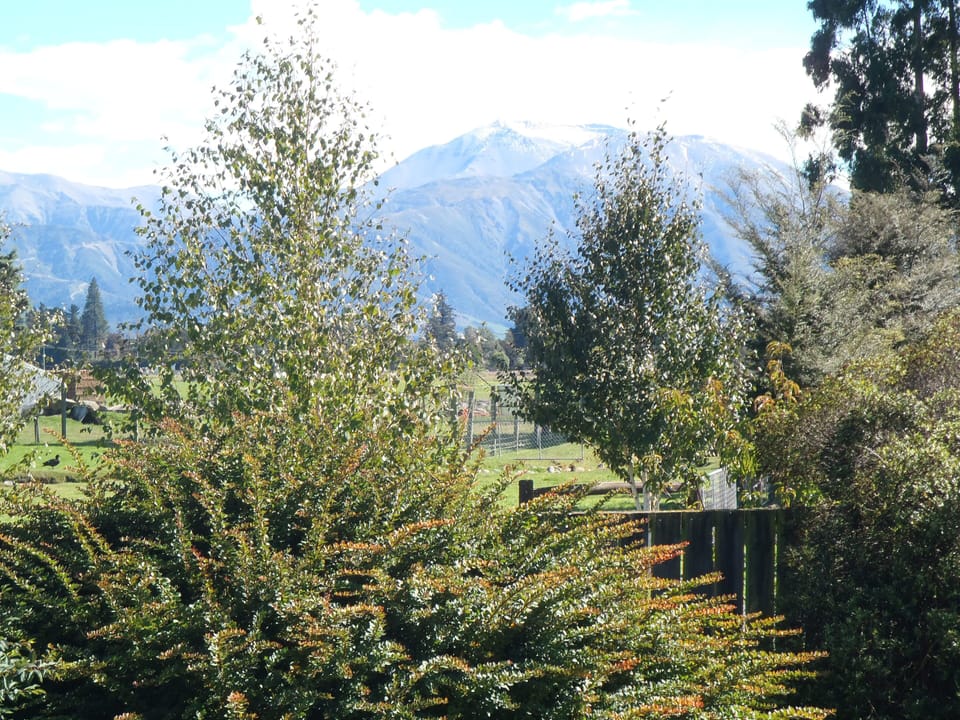 Summer view of Mt Hutt
