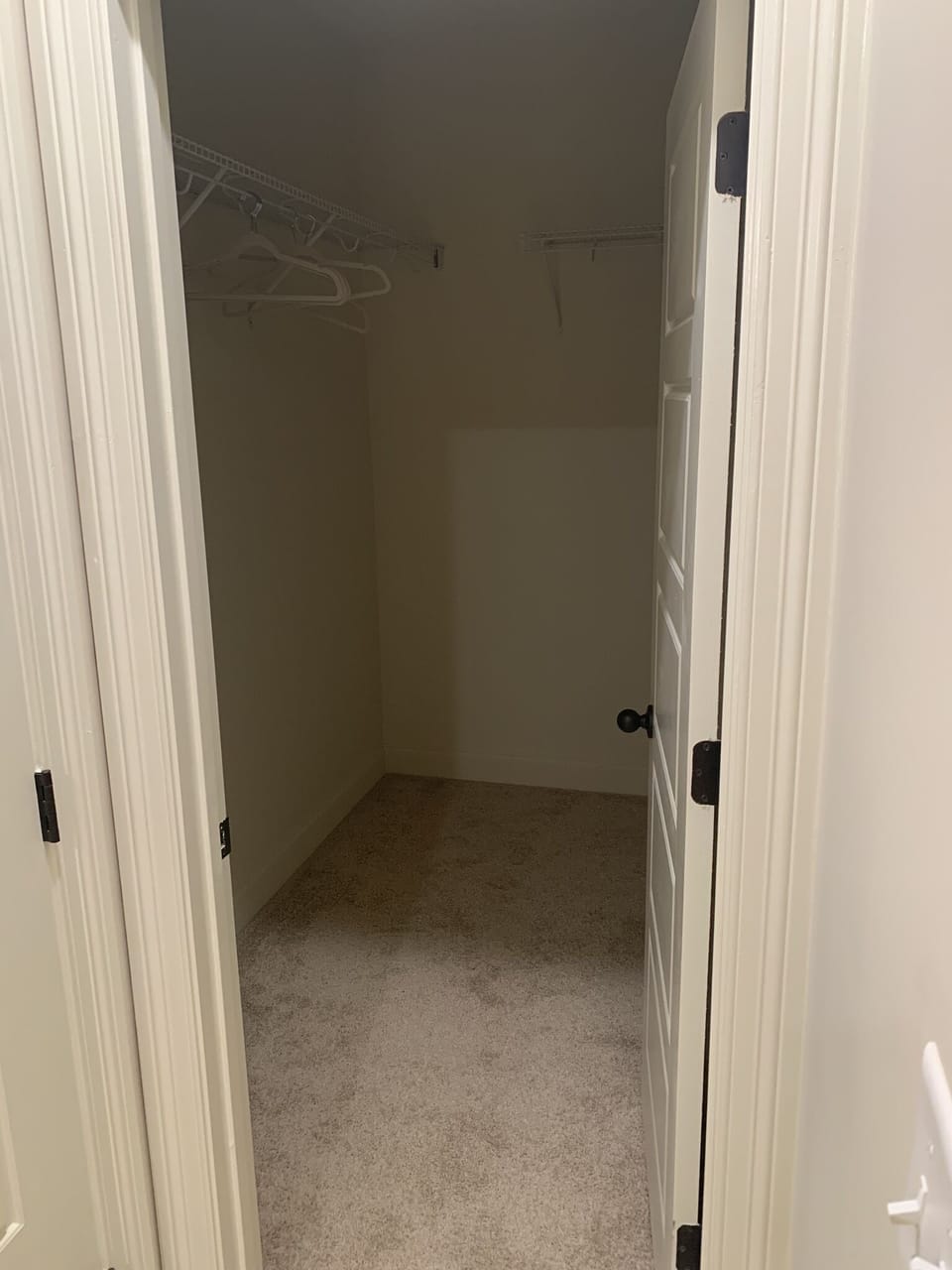 Guest Bedroom Walk In Closet