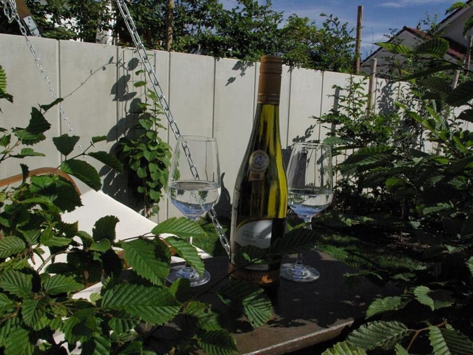 Vacation apartment SaarWeinWald - Holiday apartment Apartment in Trier-Saarburg