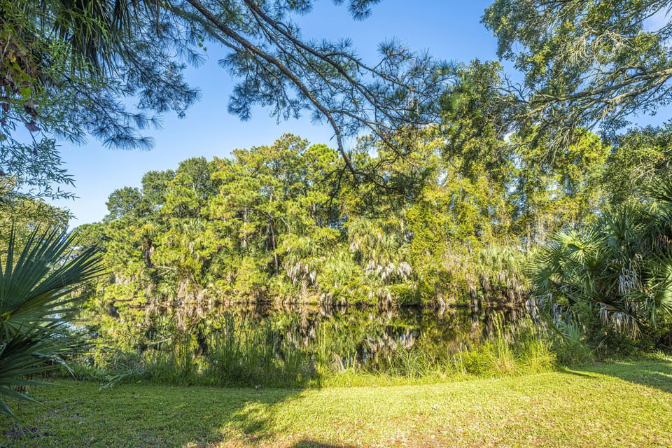 Back yard and lagoon