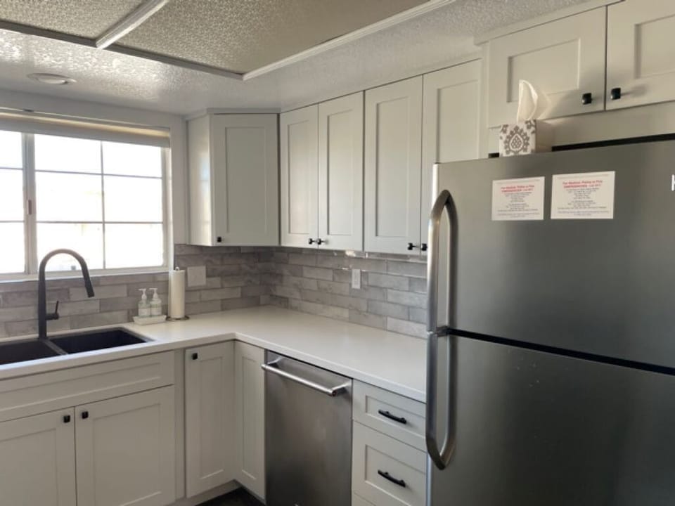 Dishwasher and double sink