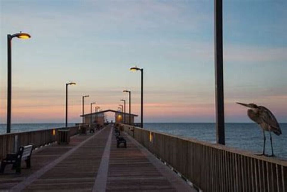 Gulf State Pier