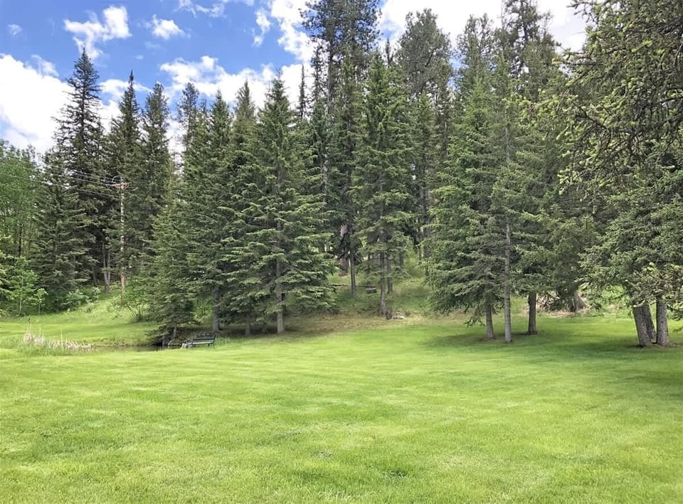 Views with visiting wildlife