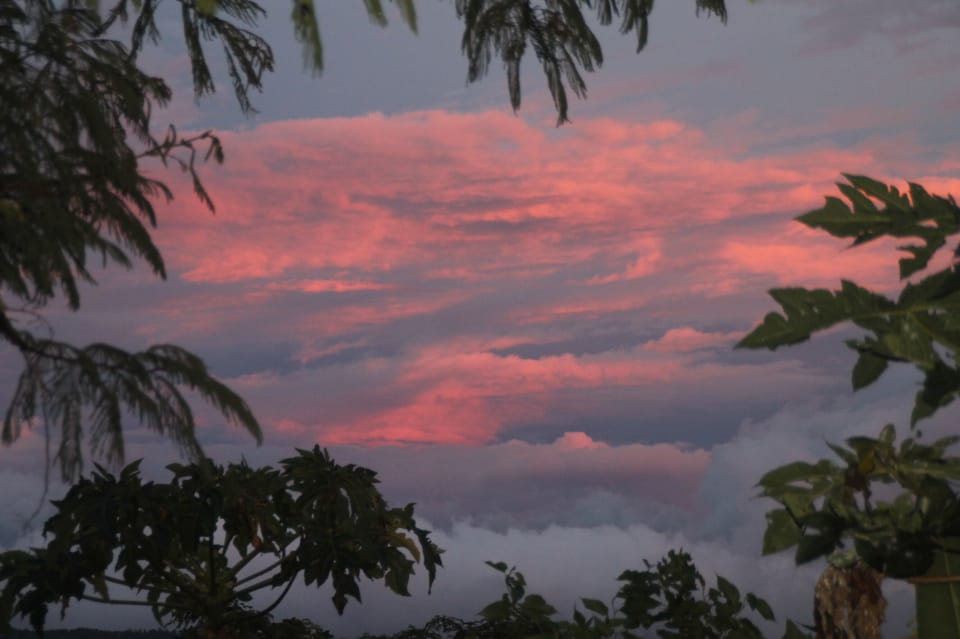 Nature at it's best View from the veranda
