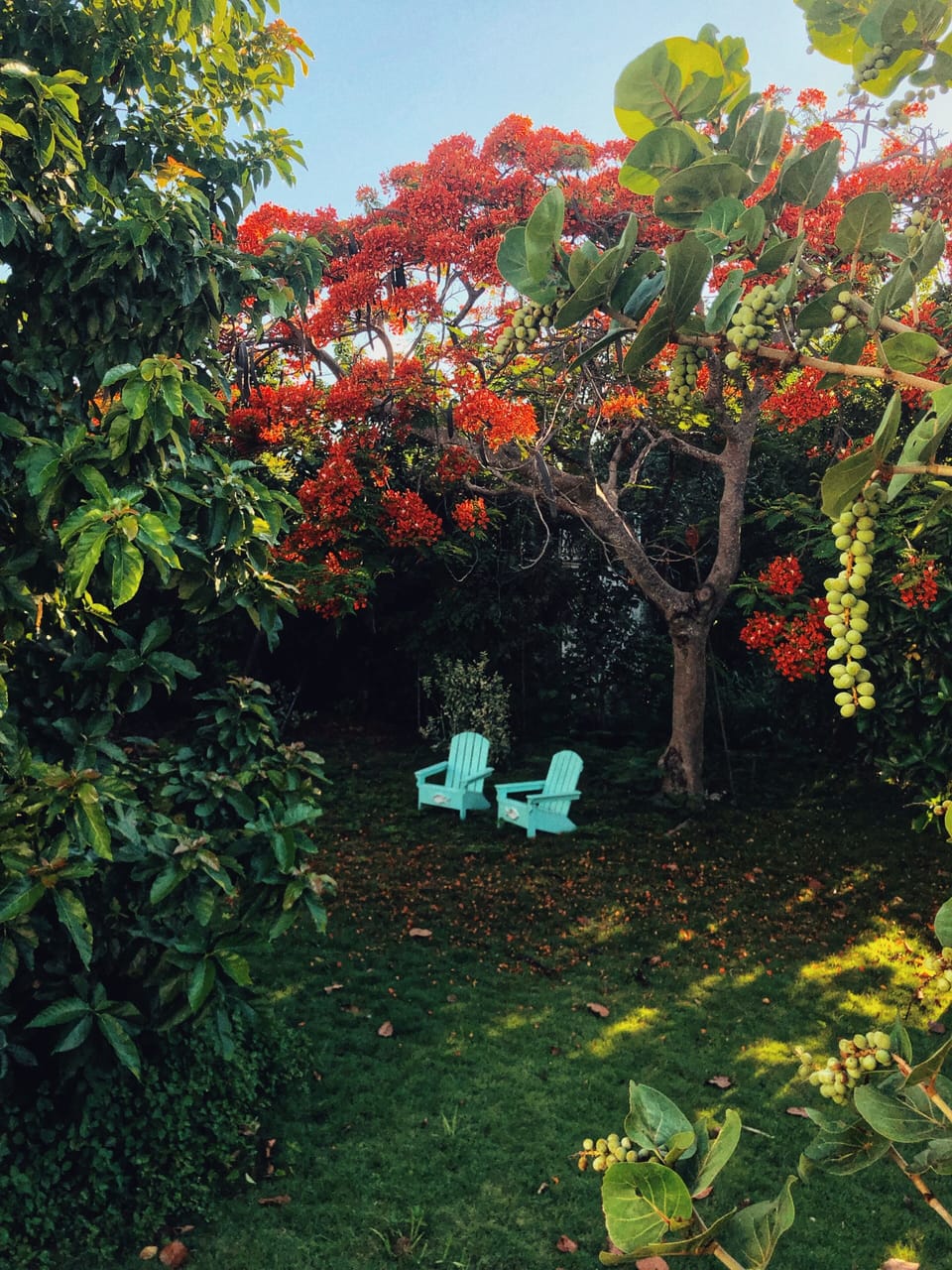 Enjoy the lovely tropical garden and feel free to sample whatever's in season!