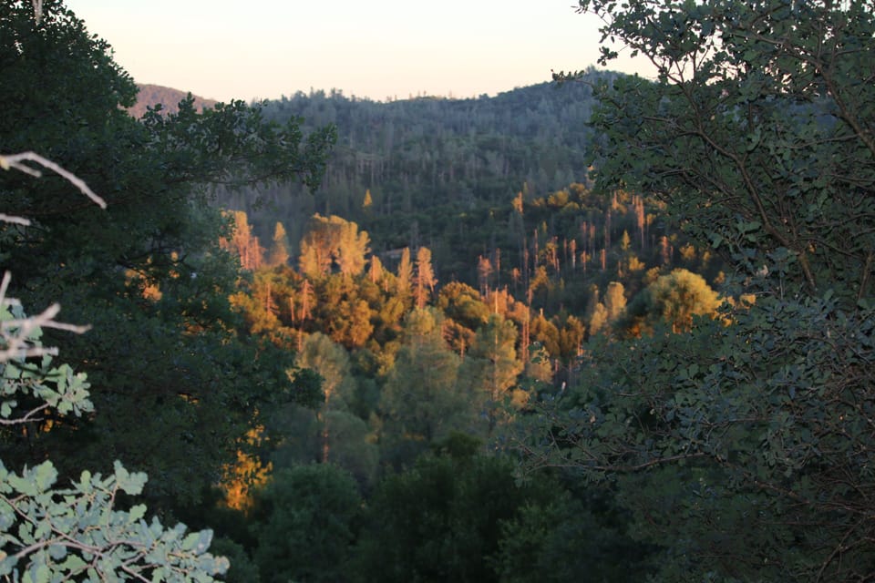 View off the deck and from front windows