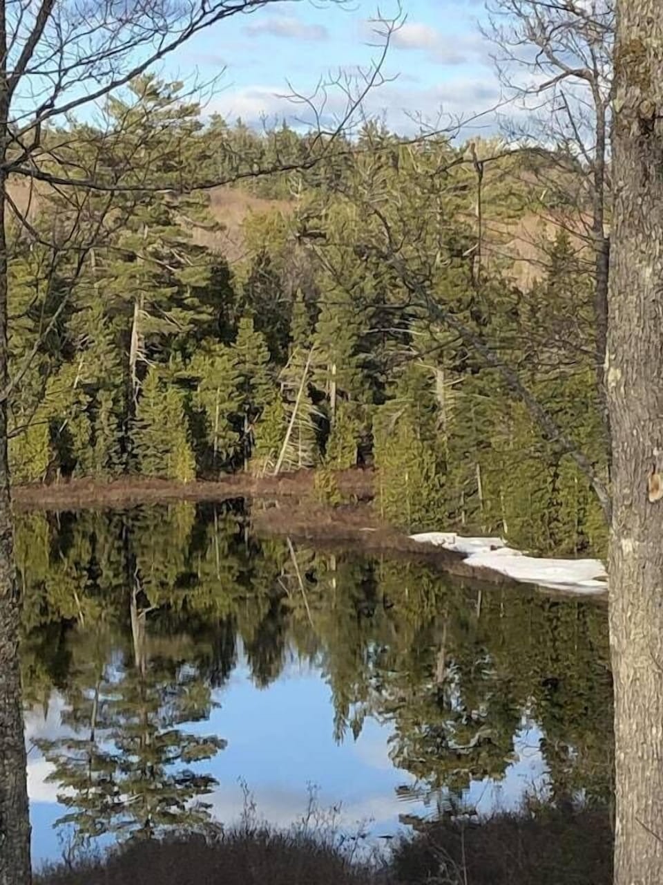 Spring water level. 
