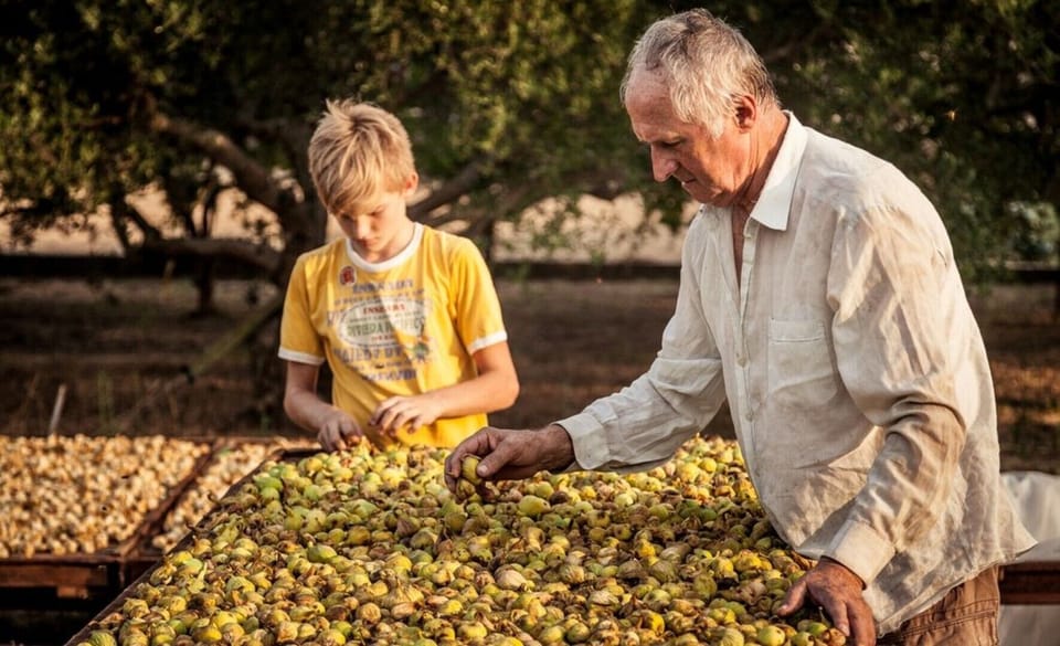 the 4th generation of Figs manufactory