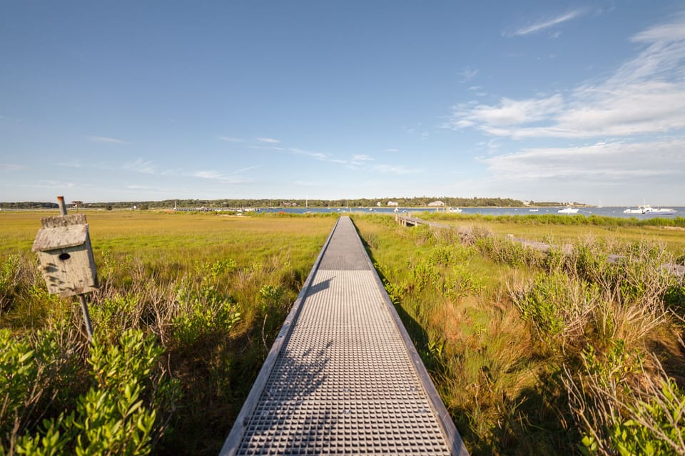 Path Leading to the Association Beach