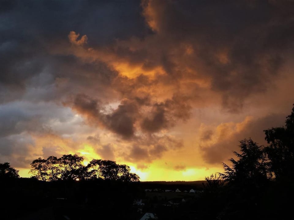 Apartment "Symphony" - apartment / apartment, shower, toilet, 1 bedroom Apartment in Trier-Saarburg