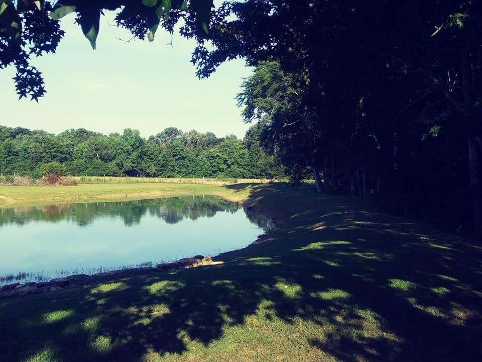 standing beside the picnic table, looking over the dam