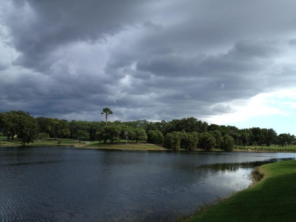 Before the storm from the lanai