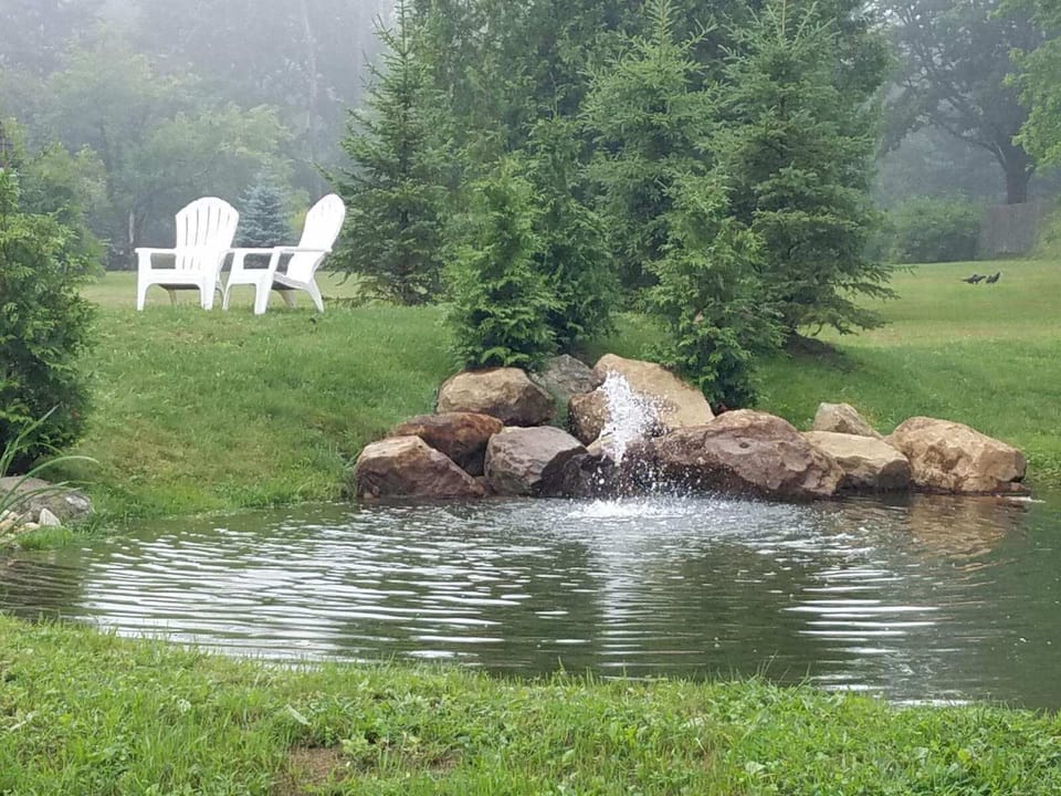 Backyard pond