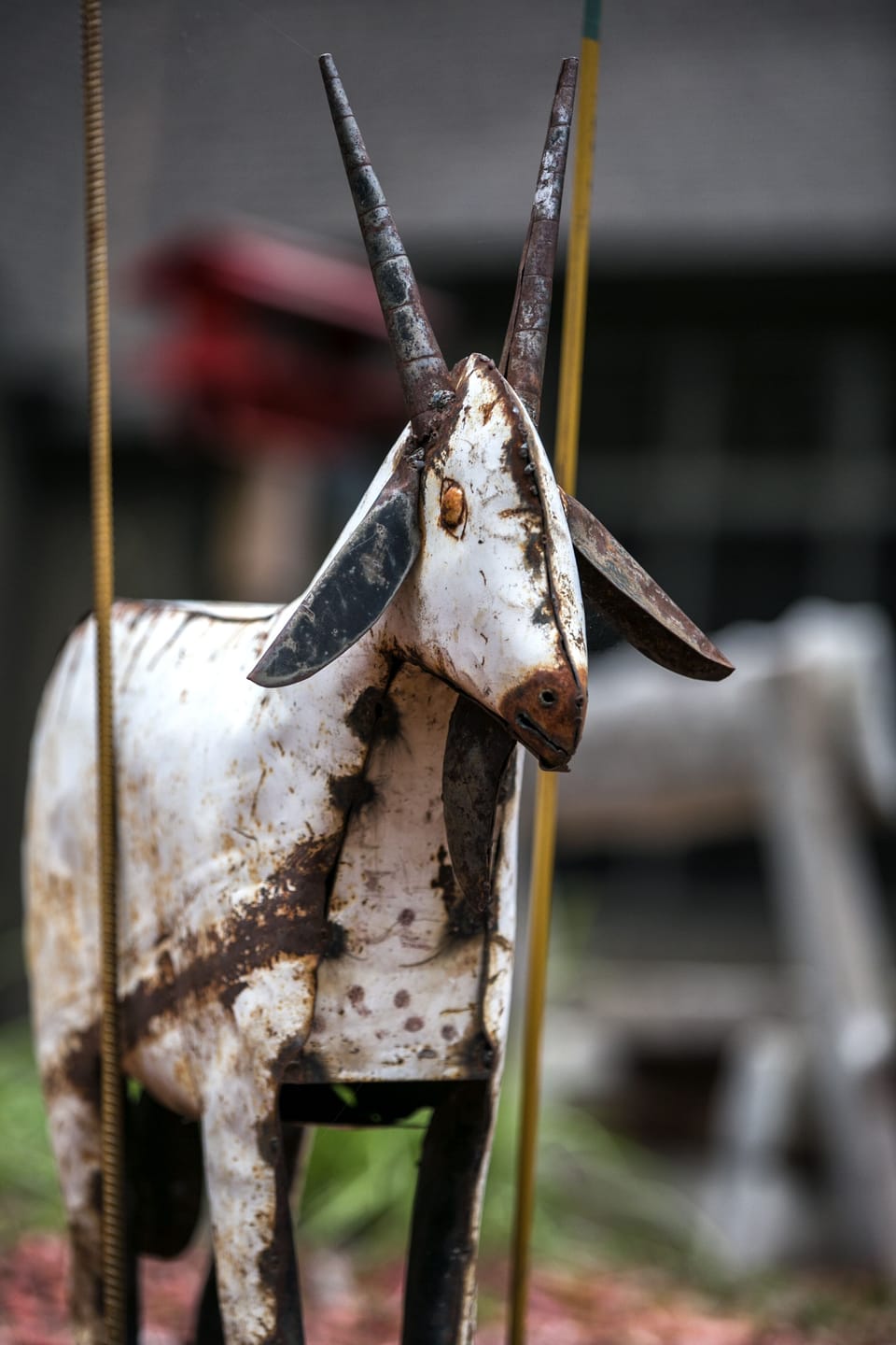 MY WIFE LOVES GOATS. THIS WAS A COMPROMISE. :) 