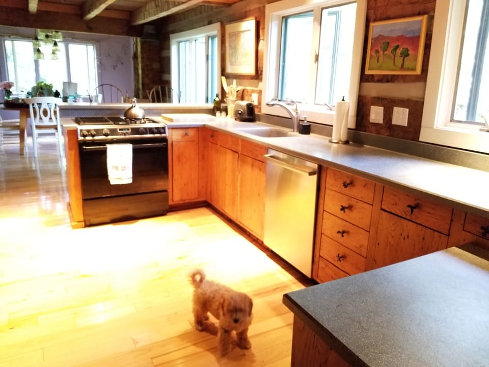 kitchen with Chip, our sweet puppy...oh, and Jennair range, Bosch dishwasher