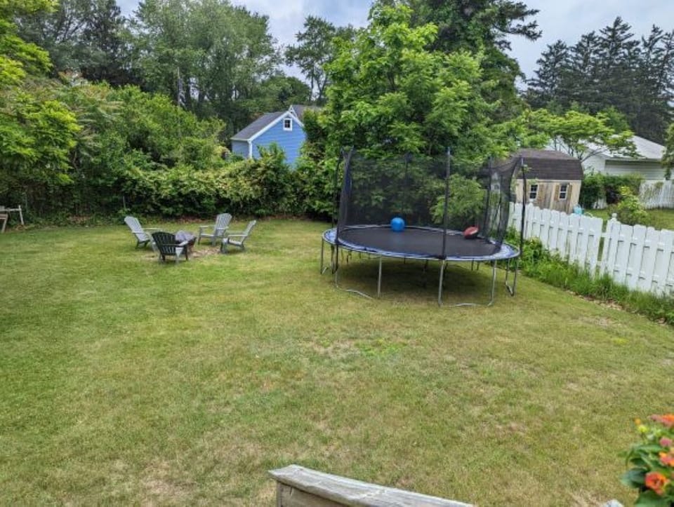 Backyard V