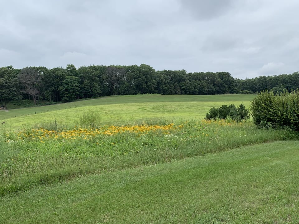 View from front door