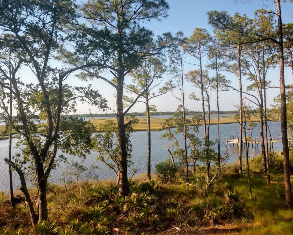 View from our screened porch