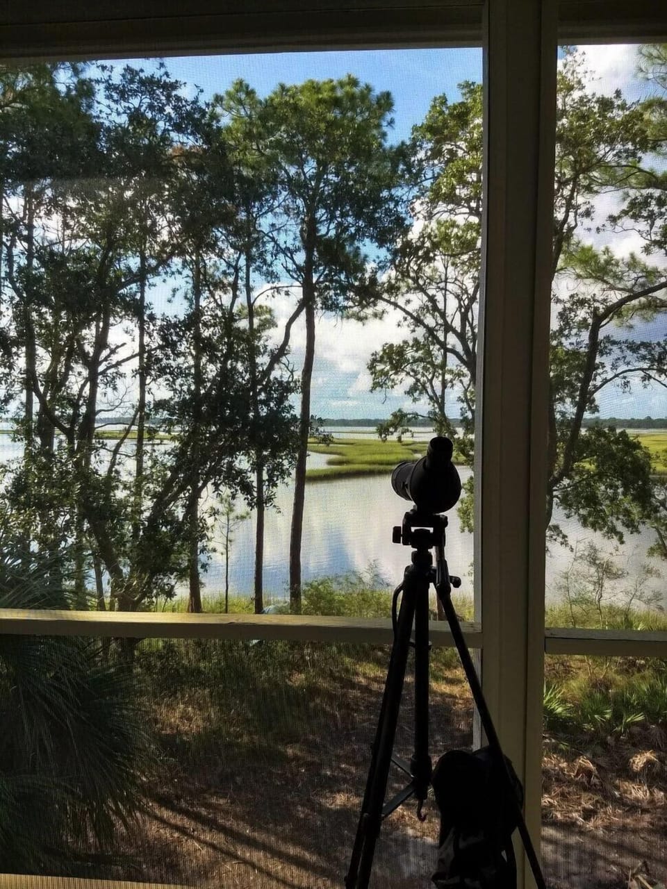 Screened Porch view