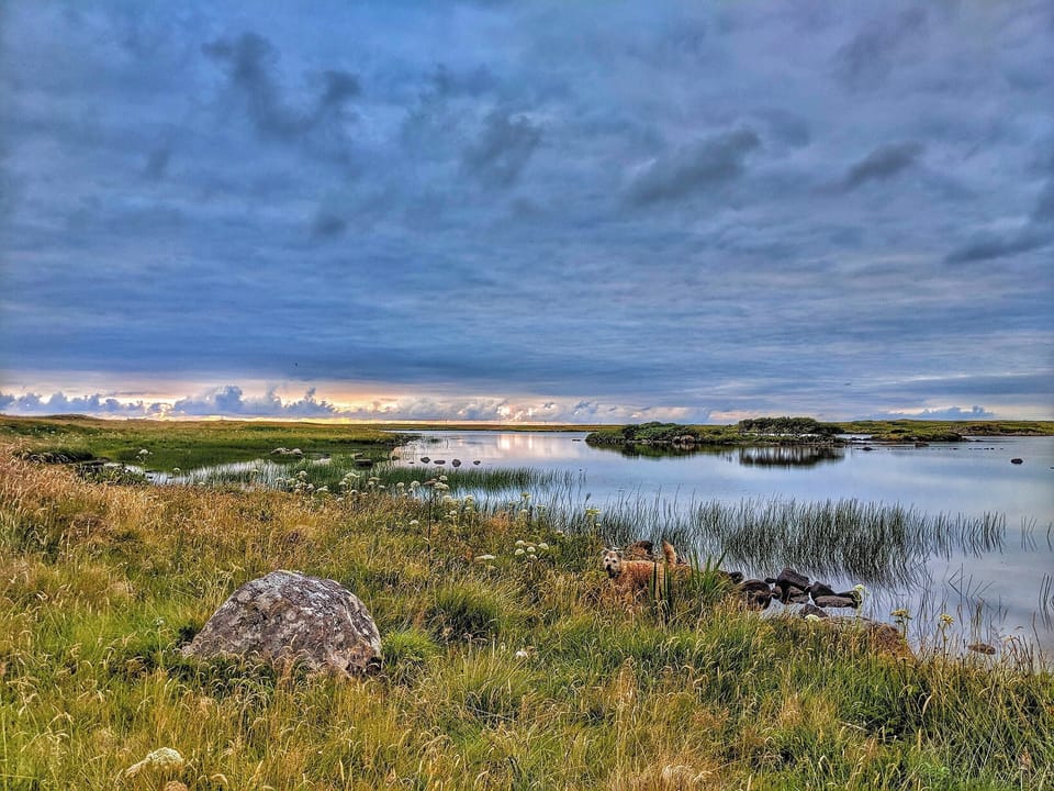 Loch Altabrug | Altabrug, Stoneybridge, Isle of South Uist