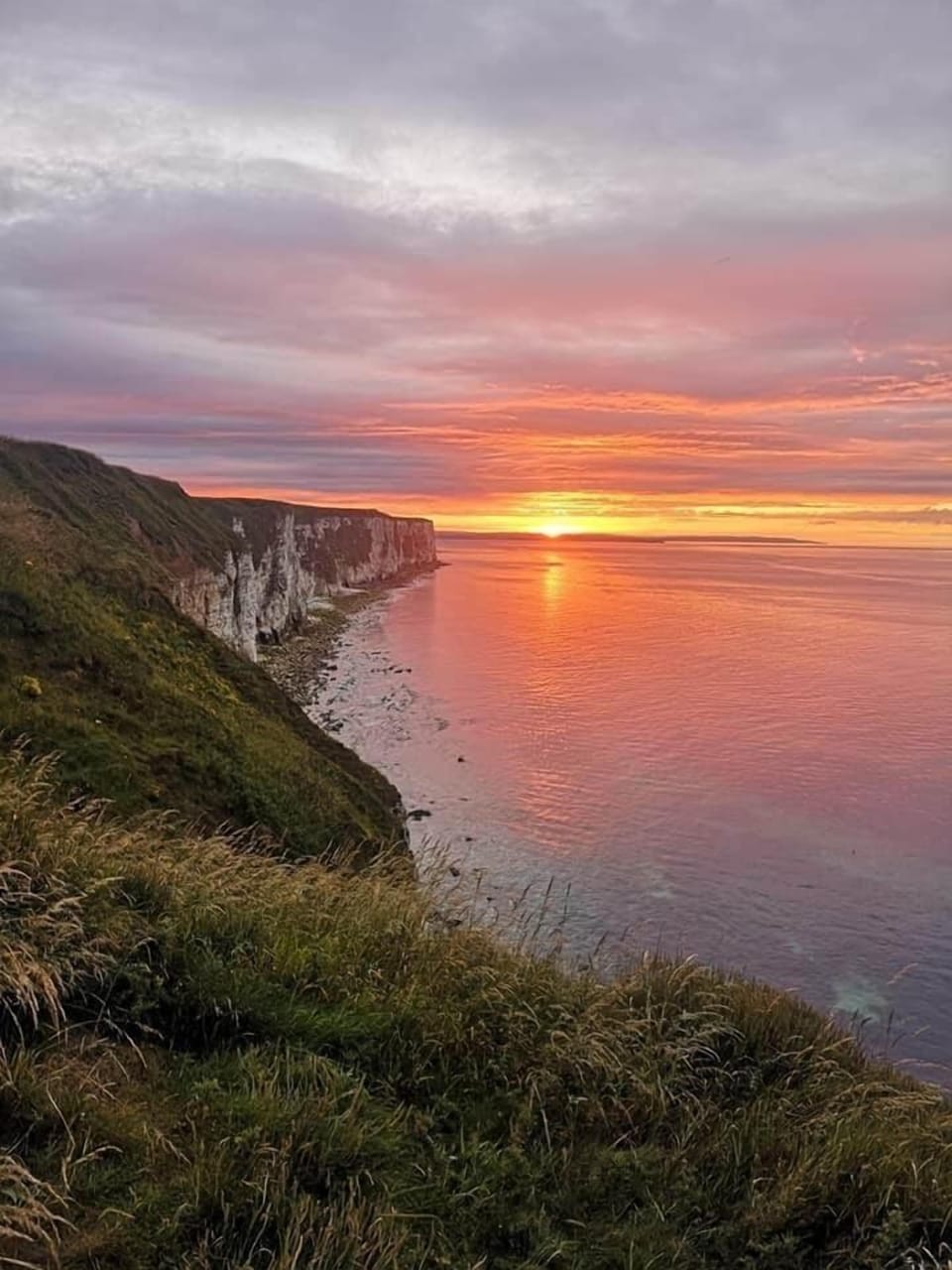 Image 24