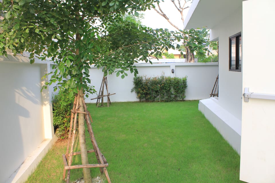 New and Modern Studio 24