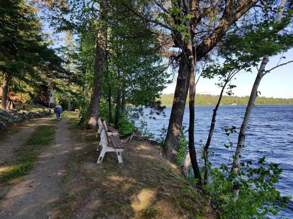 Driveway past cabins 