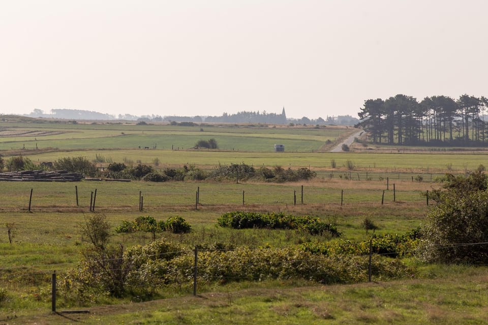 View of landscape from holiday apartment Wiese & Watt