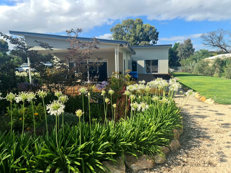 Driveway view