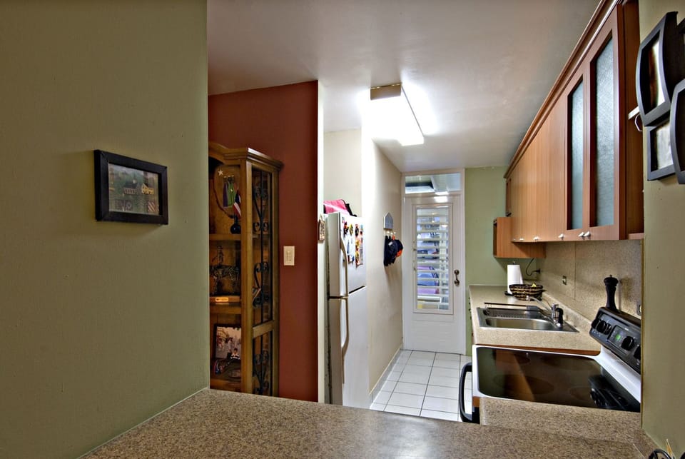 Fully equipped kitchen... washer and dryer in the back porch.