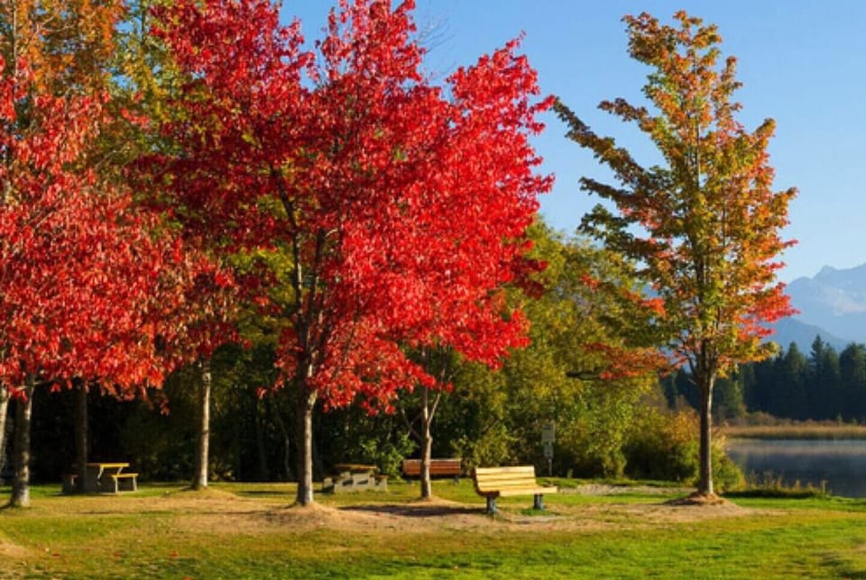 Stunning flora, fauna and mountain scenery